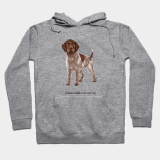 german wirehaired griffon Hoodie